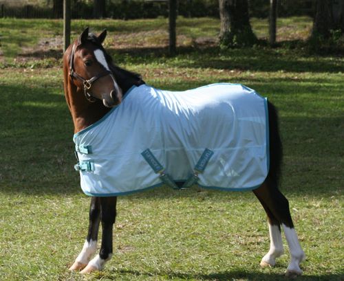 TuffRider Comfy Mesh Mini Fly Sheet - Porcelain Blue/Teal