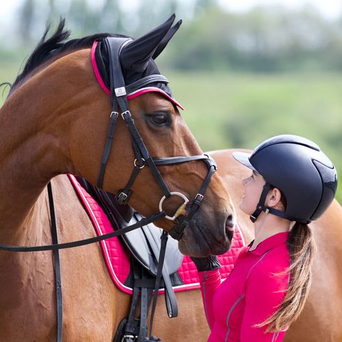 Woof Wear Ergonomic Ear Net - Black/Berry