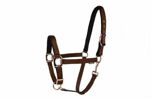 Lettia Rosegold Breakaway Halter - Dark Brown