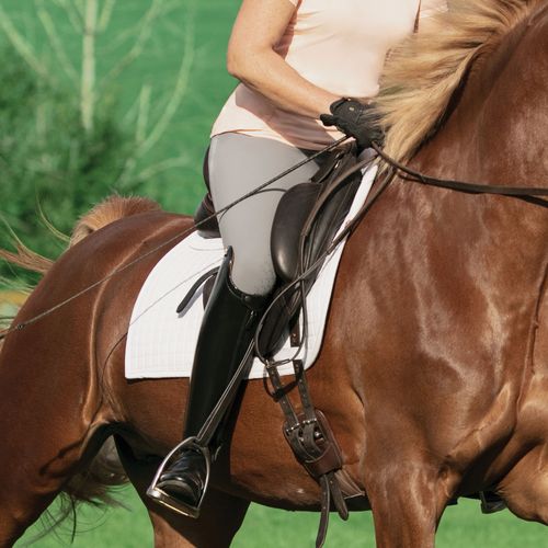 Irideon Women's Camber Knee Patch Breeches - Dove Grey