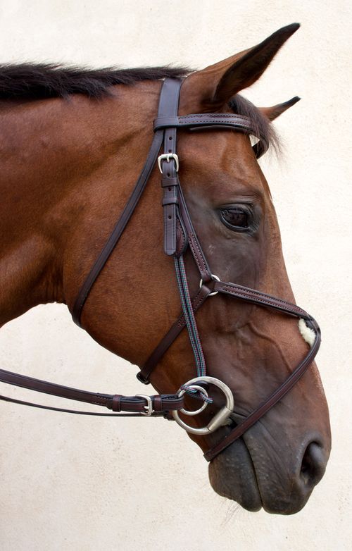 Nunn Finer Gag Cheeks - Havana