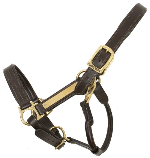 Amigo Padded Halter - Brown