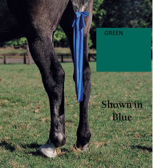 Jammies Tail Bag - Green