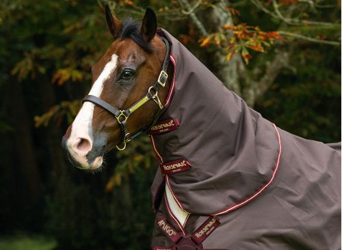 Amigo Hood 0g - Brown/Red/Gold/Red