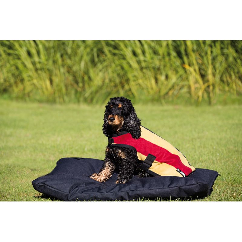 Rambo dog coat 2025