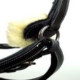 Black/Zinc