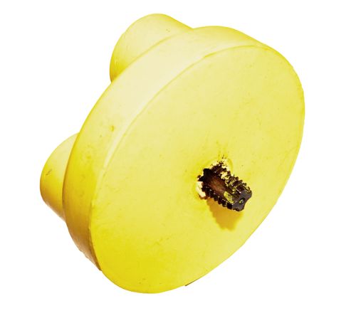 Nunn Finer Safety Spin - Yellow