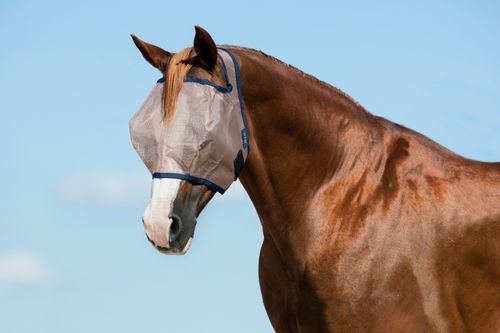 Mio Fly Mask Without Ears - Bronze/Navy