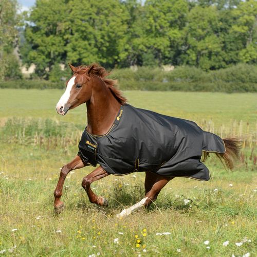 Bucas Irish Light Classic Turnout - Black/Gold