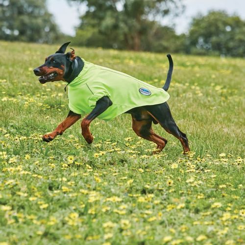 Weatherbeeta Comfitec Active Dog Coat - Yellow