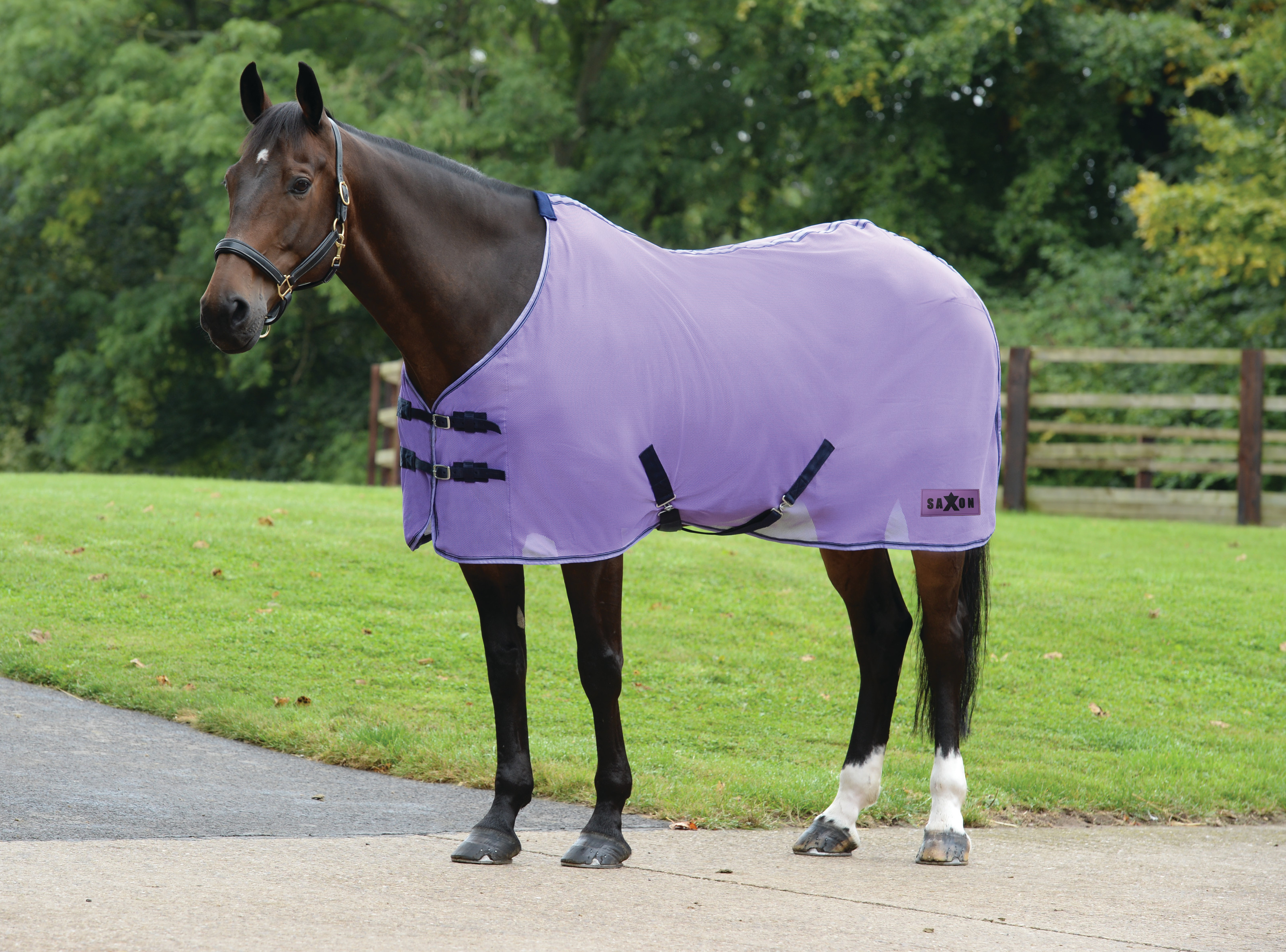 Weatherbeeta Scrim Cooler Standard Neck (Navy/Red/White) *Clearance