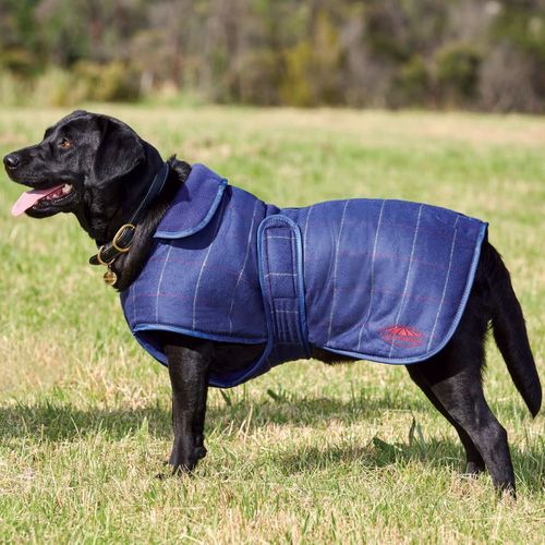Weatherbeeta Comfitec Tweed Dog Coat II - Navy