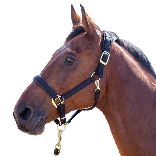 Shires Topaz Leather Breakaway Nylon Halter - Black