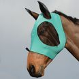 Turquoise/Black