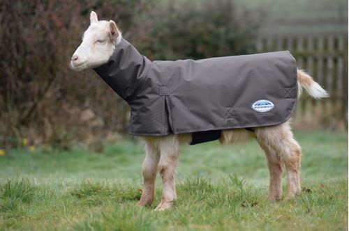 Weatherbeeta Goat Coat w/Neck - Grey