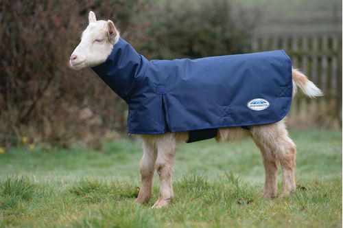 Weatherbeeta Goat Coat w/Neck - Navy