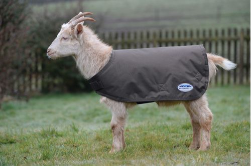 Weatherbeeta Goat Coat - Grey