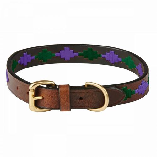 Weatherbeeta Polo Leather Dog Collar - Beaufort Brown/Purple/Teal