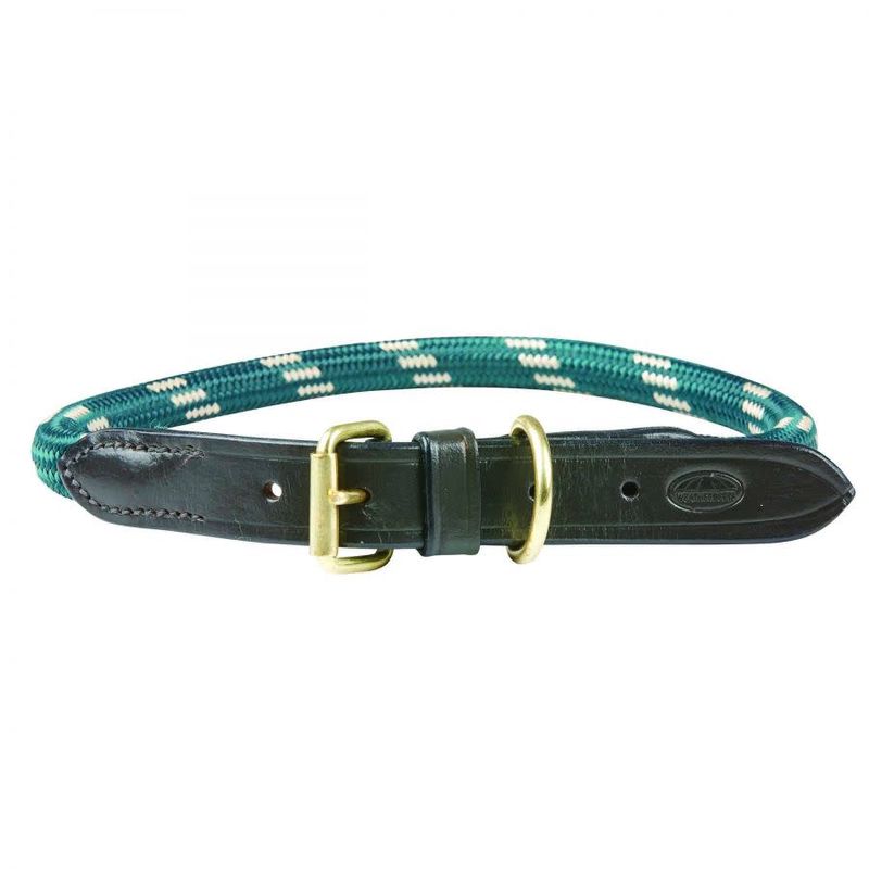 Hunter leather outlet collar