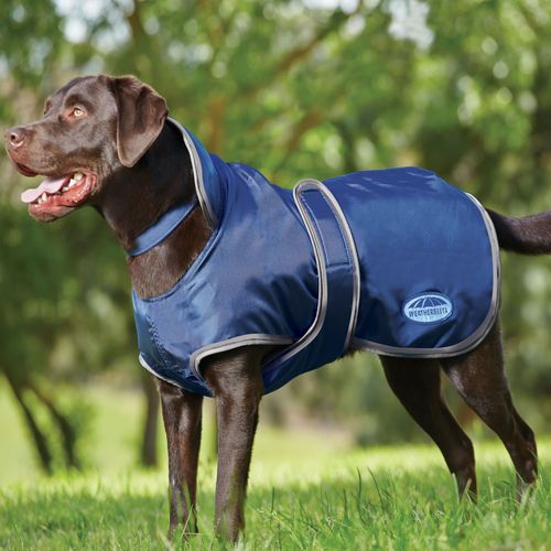 Weatherbeeta Comfitec Windbreaker 420D Deluxe Dog Coat - Navy/Grey