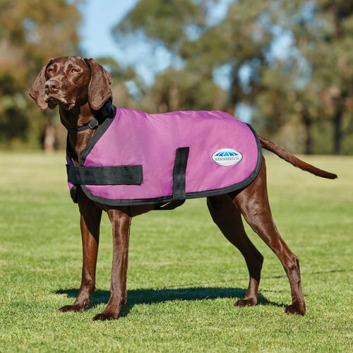 Weatherbeeta Comfitec Classic Dog Coat - Pink