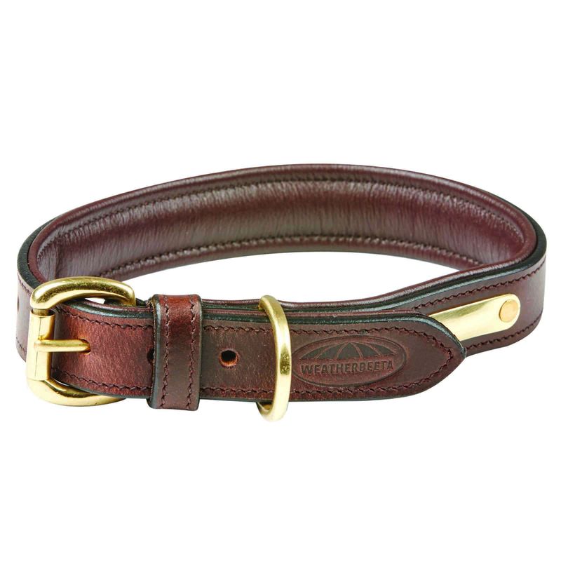 Padded leather dog collar sale