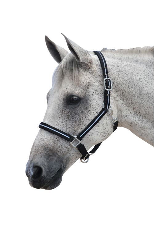 Roma Reflective Breakaway Headcollar - Black