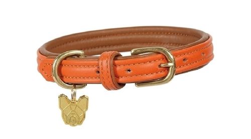 Digby & Fox Padded Leather Dog Collar - Orange