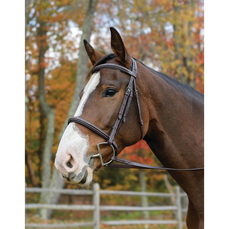 Shires Avignon Nashville Bridle - Havana - Avignon-50000 