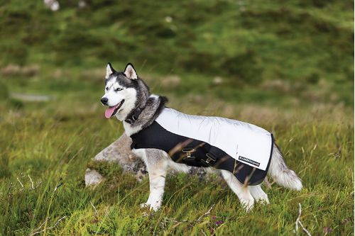 Rambo Sports Series Dog Rug - Reflective Silver/Black