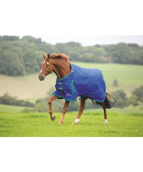 Shires Highlander Plus 200G Standard Neck Turnout - Navy