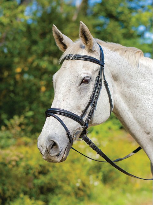 Shires Avignon Louisville Bridle - Havana