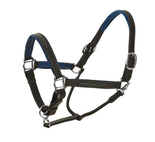 Ovation Richtan Luxury Padded Halter - Black/Blue