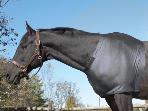 Centaur Spandex Shoulder Guard - Black