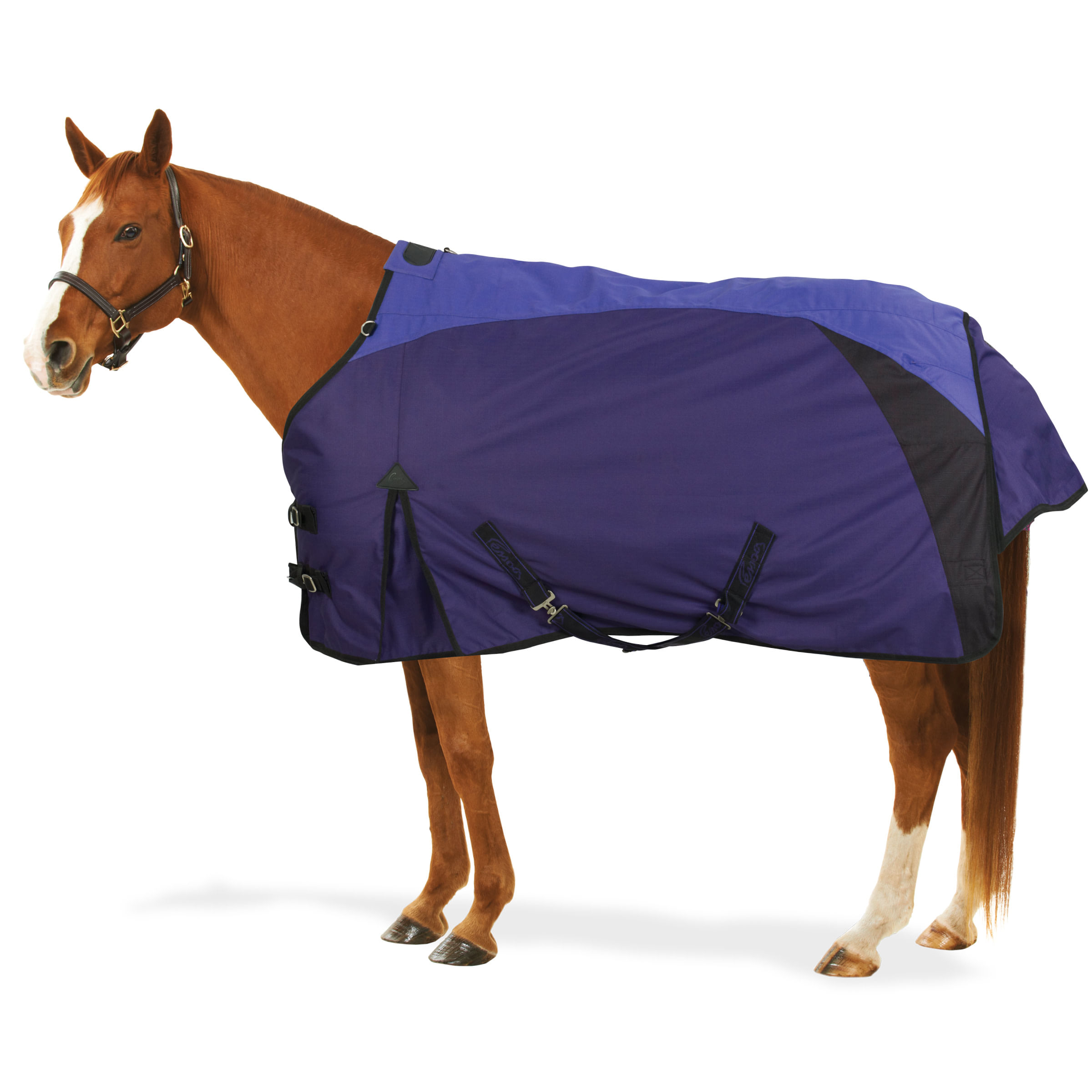 HORZE Glasgow Medium Weight Waterproof Combo Turnout Winter Horse