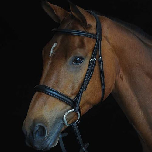 Collegiate Comfort Crown Padded Raised Cavesson Bridle - Brown
