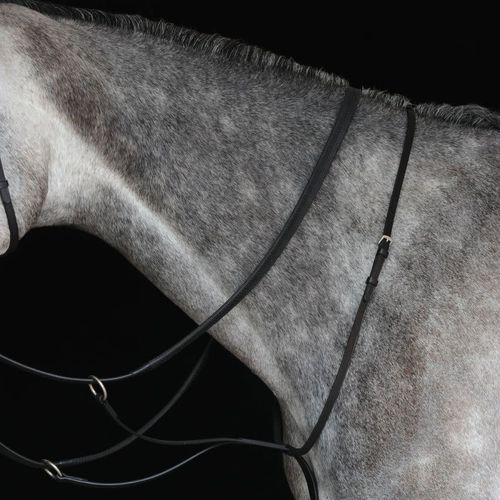 Collegiate Running Martingale IV - Brown
