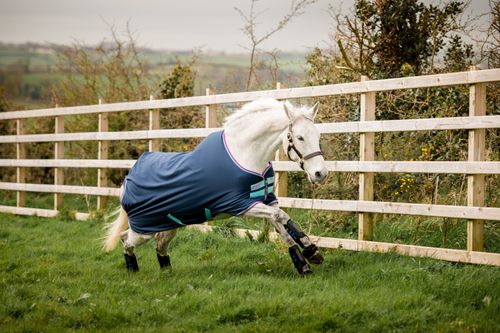 Amigo Hero 900 Pony Turnout 0g - Dark Blue/Capri/Raspberry