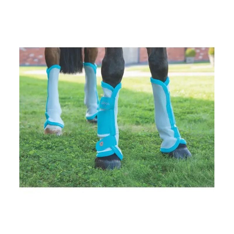 Shires Airflow Turnout Socks - Teal - Shires-1857-TEAL - Tack Of