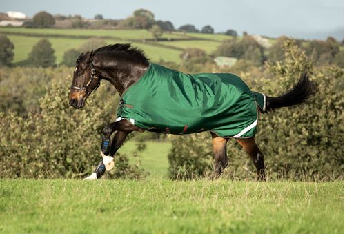 Rambo Original Turnout w/Leg Arches 100g - Green/Red