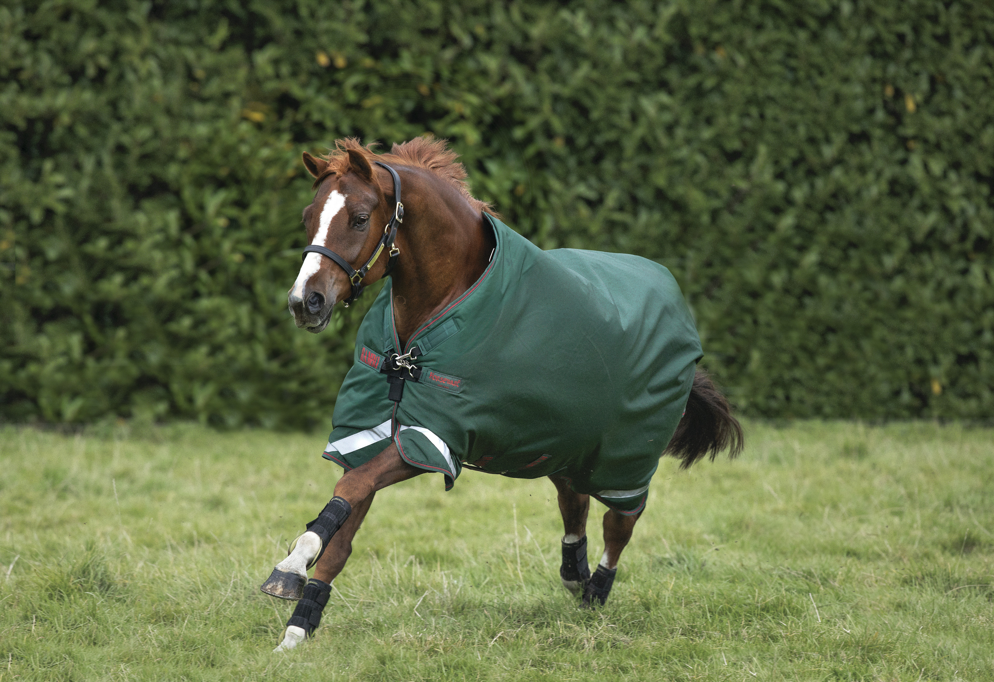 Couverture Rambo original 200g - Horseware - imperméable et respirant