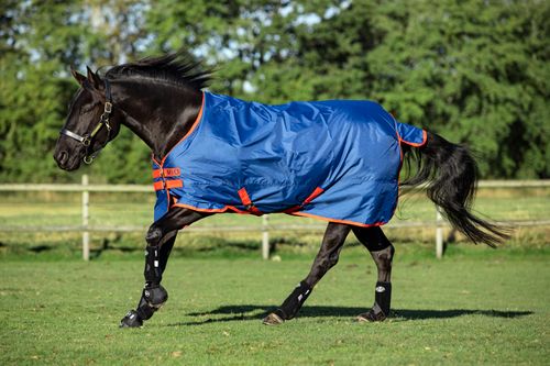 Mio Turnout 200g - Dark Blue/Dark Blue/Red