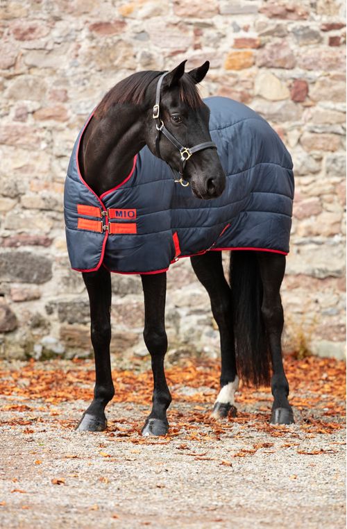 Mio Insulator Stable Blanket 150g - Navy/Red/Red