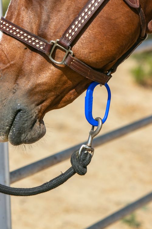 Kensington Safe-T-Tie (2 pack) - Dark Blue