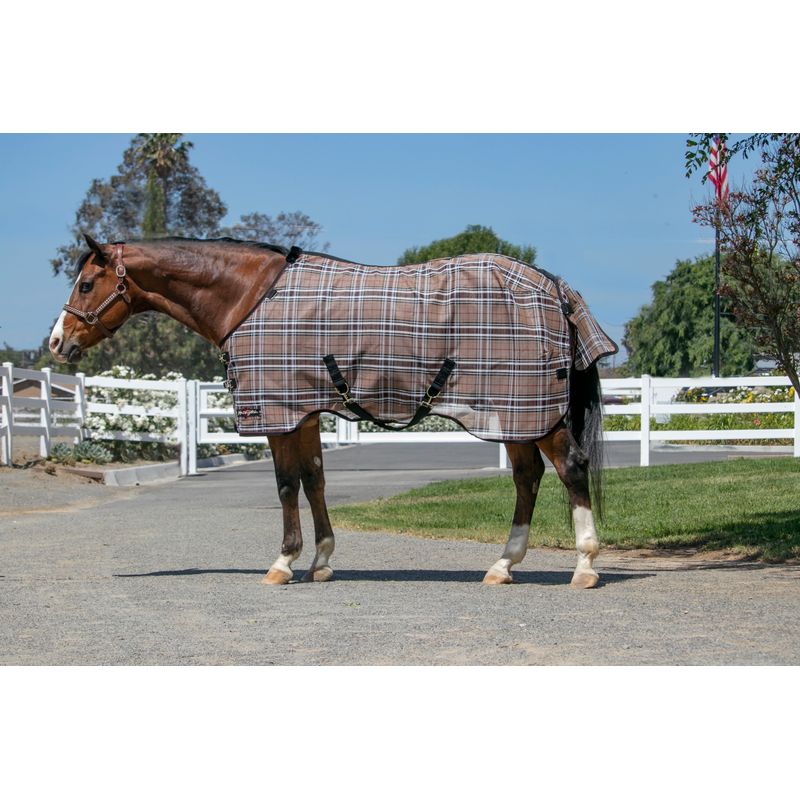 Kensington Leg Strap For Blankets (Horse Size), Sold as Pair - Black