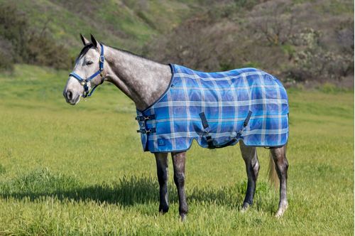 Kensington Protective Sheet SureFit - Kentucky Blue