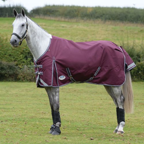 Weatherbeeta Comfitec Plus Dynamic II Standard Neck Medium - Maroon/Grey/White