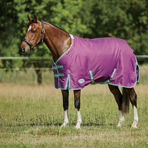 Weatherbeeta Comfitec Premier Freedom Pony Standard Neck Lite - Purple/Navy/Mint