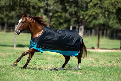 Mio Turnout 200g - Black/Turquoise/Black