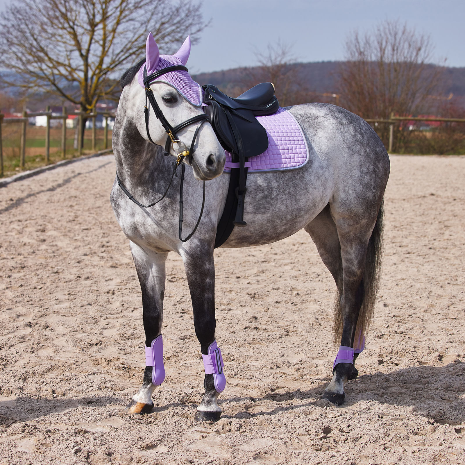 Purple Horse Boots for sale